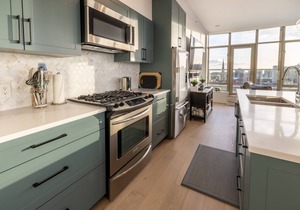 Victoria's SEA-Cret-Stunning Olympic and Inner Harbour Views from 450 sq ft Balcony