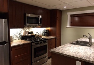 Walk to Hospital, business and restaurant district - Downstairs Suite -
