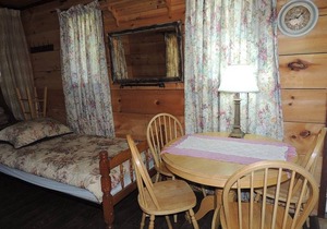Waterfront cozy cabin on private trout lake