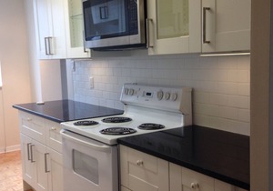 Waterfront Penthouse Condo facing Parliament Hill and Ottawa River Sleep 4!