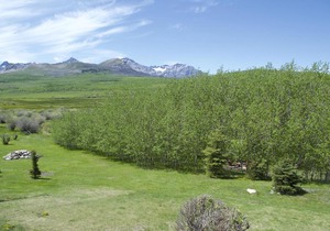 Waterton Country Villas - 2 Private Room w view
