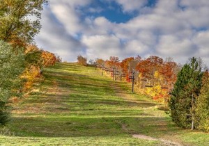 Wintergreen 218