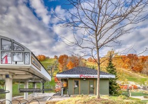 Wintergreen 218