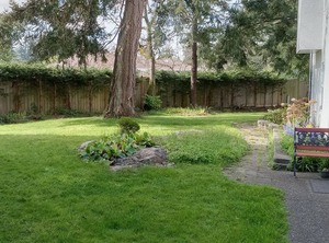 Mysty Woods Garden | Cordova Bay