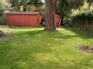Mysty Woods Garden | Cordova Bay