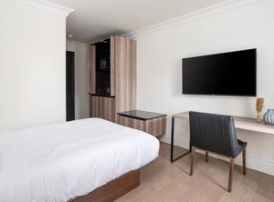 Renovated Size Mcgill | Latin Quarter