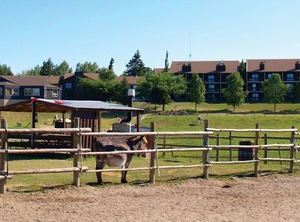 Resort | Wasagaming