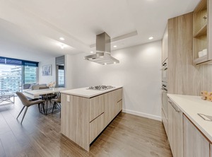Village | Southeast False Creek