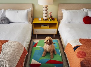 Drake Motor Inn | Wellington