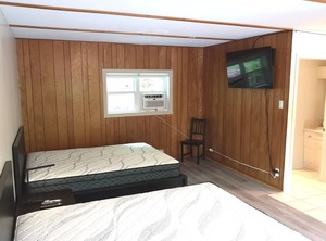 Deck Dorset | Dorset
