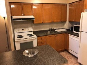 Jet Furnished | Downtown Mississauga