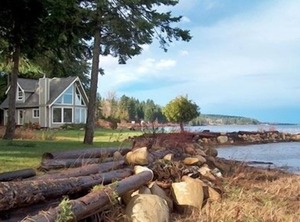 Open Design West Coast Feet Of Waterfront | Union Bay