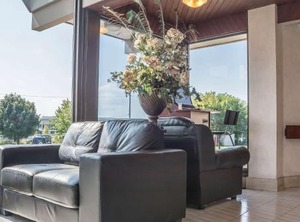 Rodeway Inn Fallsview | Fallsview
