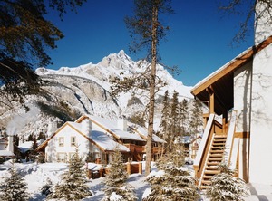 Wolf Banff | Banff