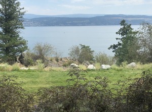 Okanagan Resort | Central Okanagan