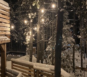 Spruce Door 
