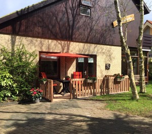 Vier Berken 