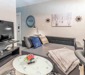 Cozy Br Apt Netflix 