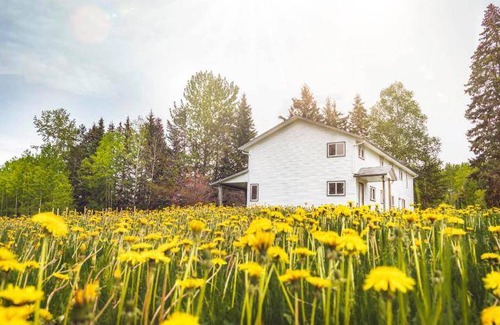 Horsefly Bed & Breakfast | 11 m² Bed and breakfast ∙ 2 guests