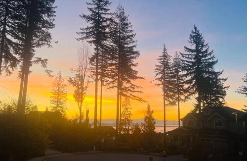 Burke Mountain Bed & Breakfast | 16 m² Bed and breakfast ∙ 3 guests