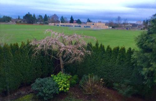 Richmond Bed & Breakfast | 20 m² Bed and breakfast ∙ 1 bedroom ∙ 3 guests