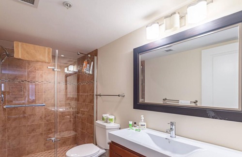 Downtown Halifax Apartment | 221 Luxurious Downtown Apartment with AC