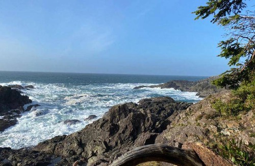 Ucluelet Bed & Breakfast | 28 m² Bed and breakfast ∙ 2 guests