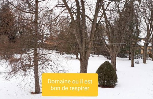 Victoriaville Hotel | 33 m² Hotel ∙ 3 guests