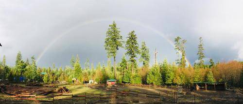 Shawnigan Lake Bed & Breakfast | 37 m² Bed and breakfast ∙ 4 guests