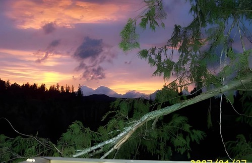 Sechelt Bed & Breakfast | 65 m² Bed and breakfast ∙ 2 guests