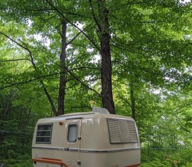 Petite-Riviere-Saint-Francois Hostel | Auberge de jeunesse du Domaine à Liguori