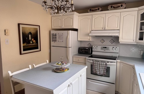 Halifax Apartment | Boutique Style Ambiance Fireplace Minutes To HFX