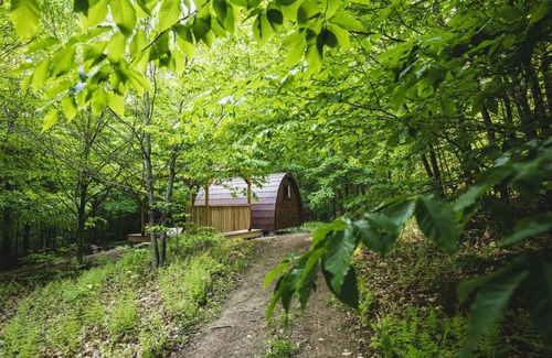 Hatley Other | Camping ∙ 1 bedroom ∙ 2 guests