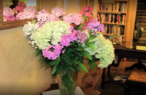 North Sydney Bed & Breakfast | Chambers Guest House B&B - Room 3