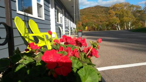 Petit-Etang Hotel | Cornerstone Motel