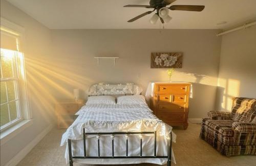 Lower Montague Hostel | EcoSun Hostel - Female-Only
