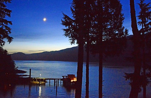 Port Renfrew Cottage | Going Coastal R & R Oceanfront Luxury