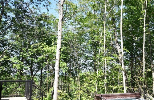 La Conception Ski Chalet | Luxurious Villa Tremblant 4 Bdrs w/Hot Tub B5