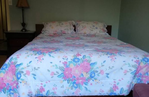 Pinehouse Resort | Private room ∙ 1 guest