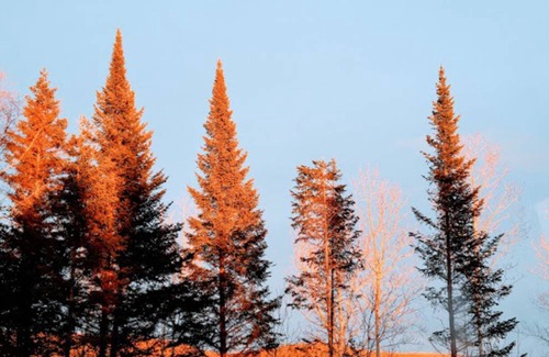 Brighton Resort | Private room ∙ 2 guests