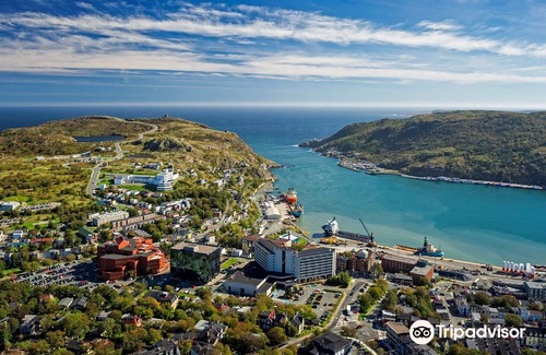 Downtown St. John's Hotel | Sheraton Hotel Newfoundland