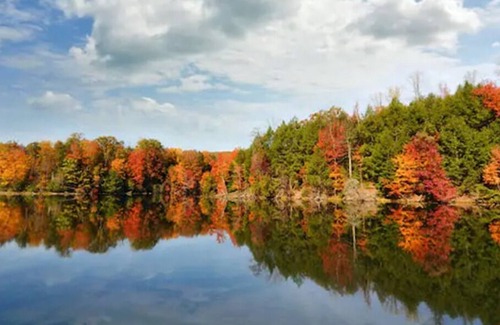 Frontenac Cottage | Waterfront Paradise 20 Minutes to 1000 Islands