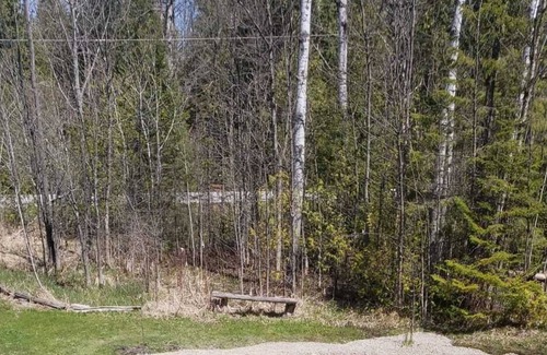 Coldwater Cottage | Wooden Gourmet Cottage with HotTub (Near HorseShoe Valley)