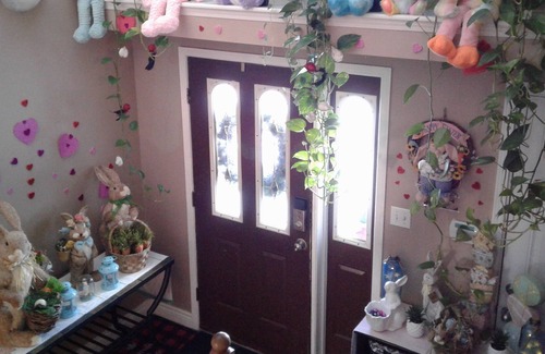 Northwest Edmonton Bed & Breakfast | You're Always Home 2 - Double Bed and Continental Breakfast