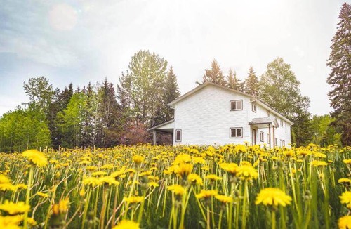 Horsefly Bed & Breakfast | 11 m² Bed and breakfast ∙ 2 guests