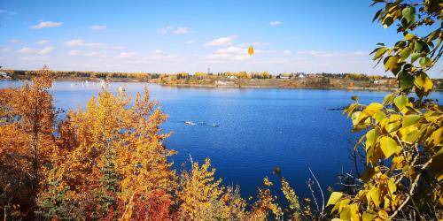 Southwest Calgary Bed & Breakfast | 181 m² Bed and breakfast ∙ 4 bedrooms ∙ 13 guests