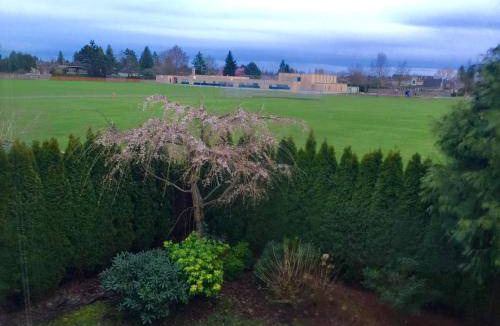 Richmond Bed & Breakfast | 20 m² Bed and breakfast ∙ 1 bedroom ∙ 3 guests
