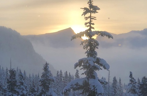 Courtenay Condo | 3 BR Mountain View Blueberry Hill Penthouse @ Mt. Washington