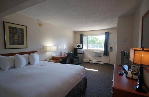 South Lethbridge Hotel | 37 m² Motel ∙ 127 guests