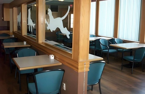 South Lethbridge Hotel | 37 m² Motel ∙ 127 guests
